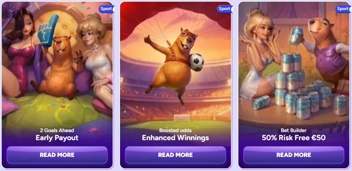 VIP program Spinbara Casino
